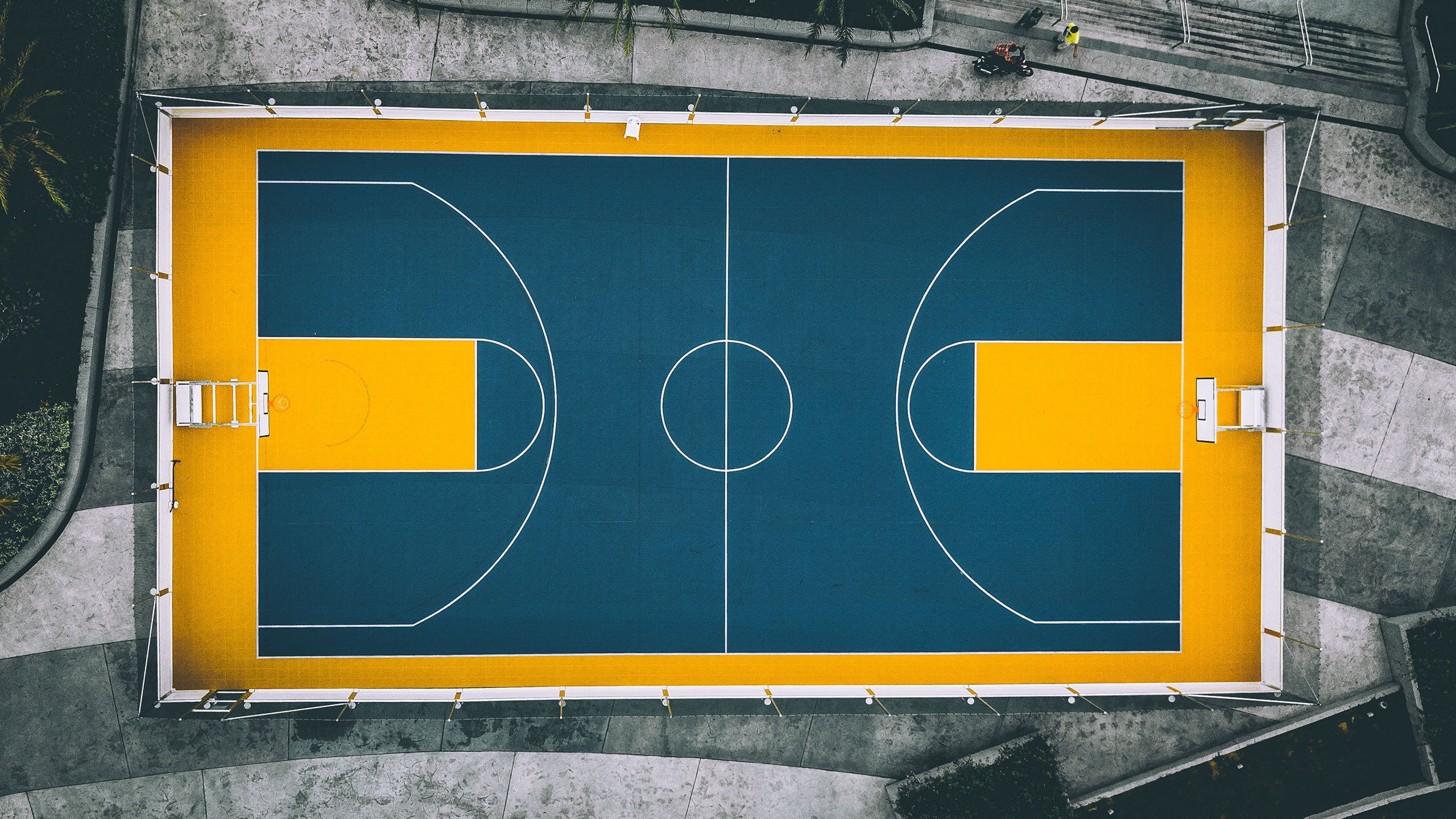 开云体育平台-红牌之殇与逆转之歌，多特蒙德的噩梦之夜，莱比锡的华丽复仇，红牌之殇与逆转之歌，多特蒙德噩梦夜，莱比锡华丽复仇